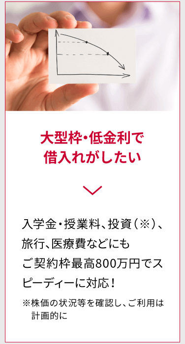 大型枠・低金利で借入れがしたい