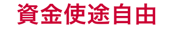 資金使途自由