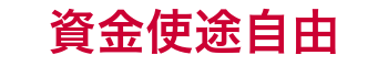 資金使途自由